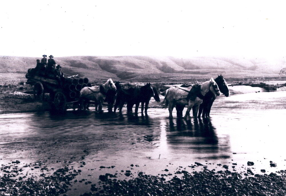 Carting Pipes for Johnson's Claim at Waipori 