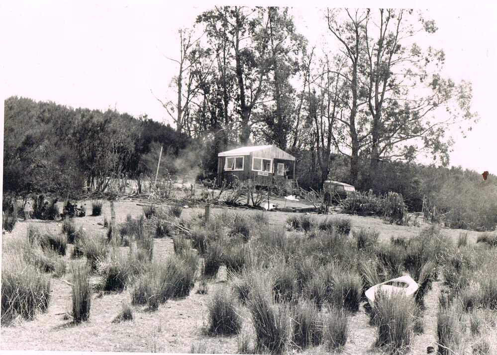 A Home in the Bush, Lake Mahinerangi