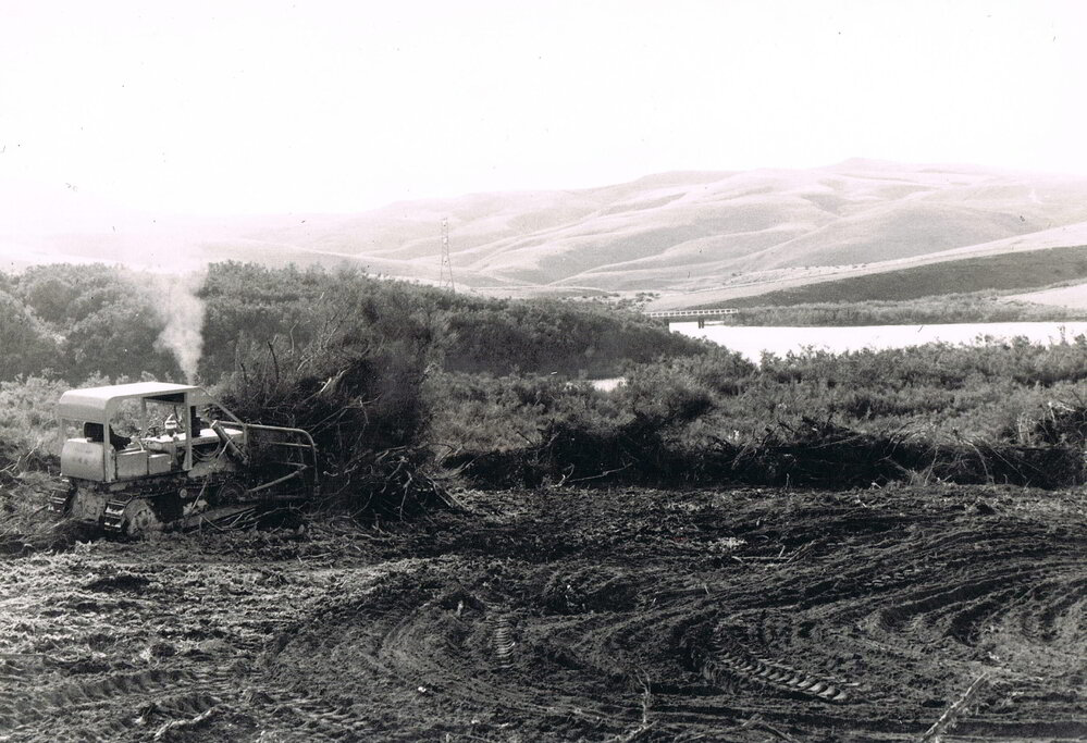 Rick Kitto Clearing at Pick &amp; Shovel Hut, Lake Mahinerangi