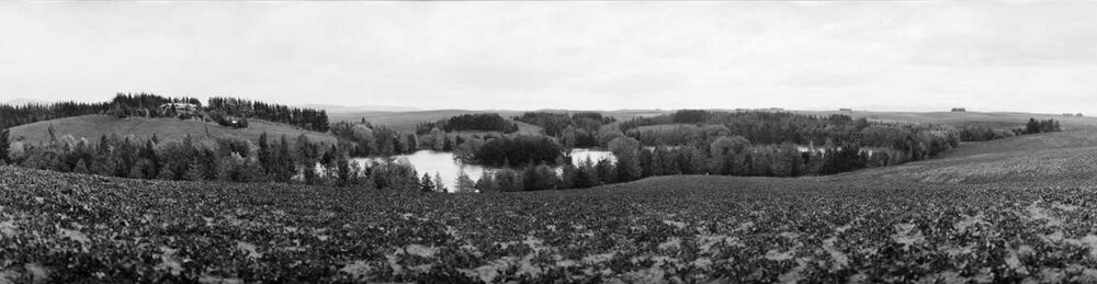 Taylor Family Homestead and Lake, Ashley Downs