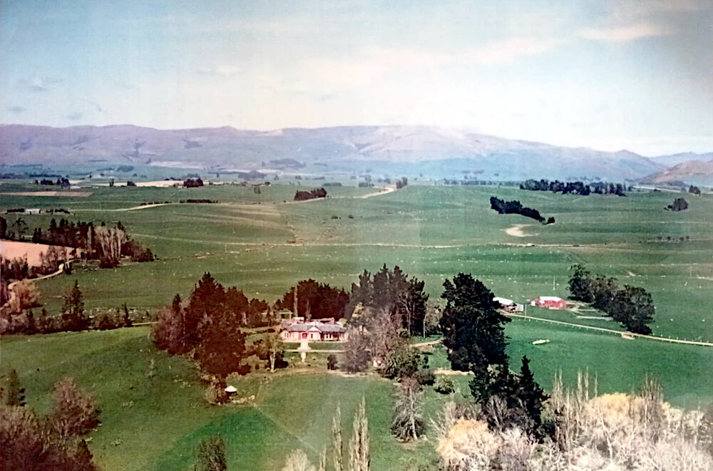 1990s Aerial, Ashley Downs