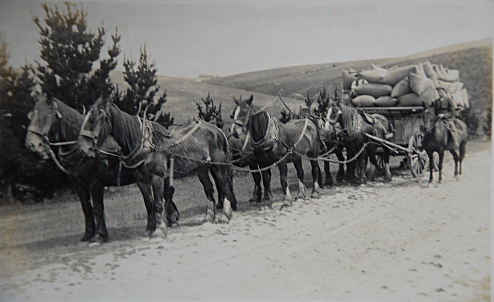 Jack Taylor transporting Grain