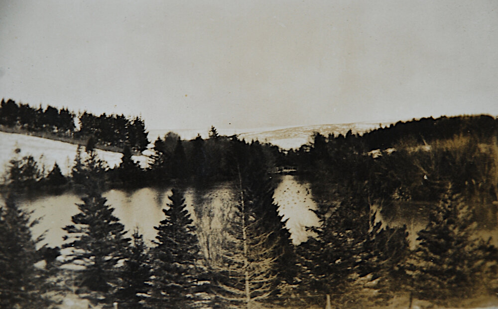 View across the lake towards Clinton and Wairuna