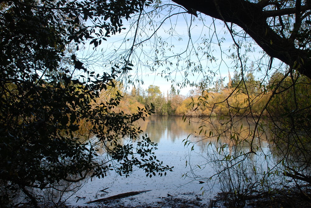 Another view over the Lake 