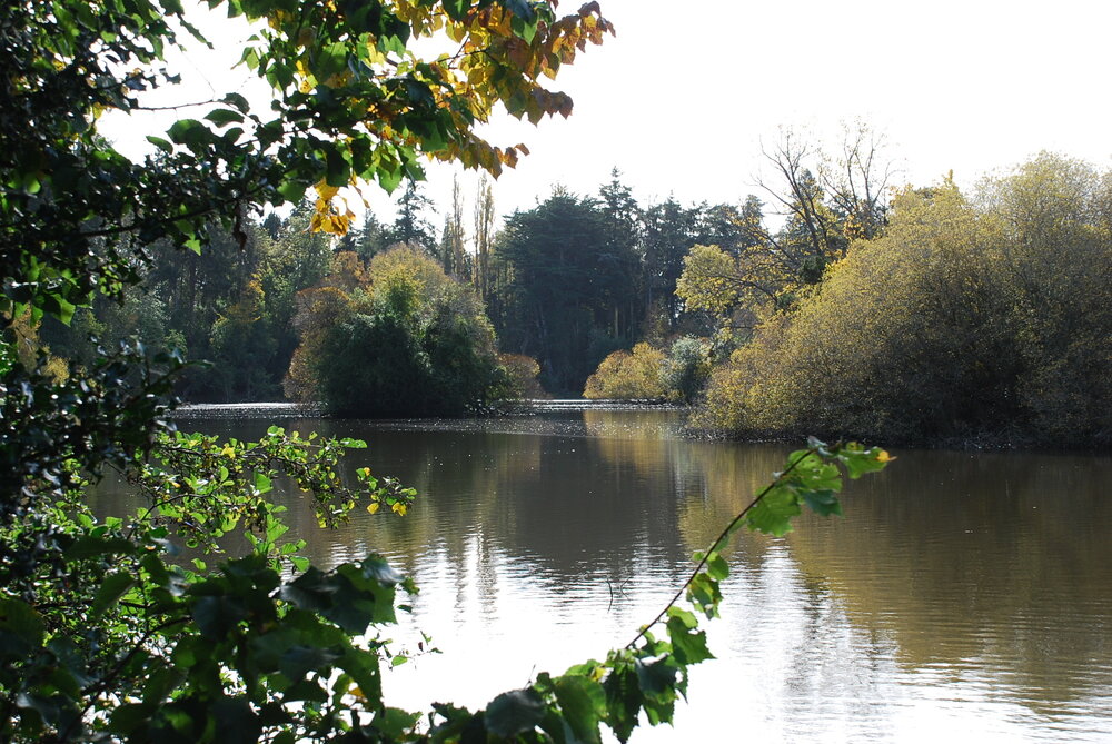 Islands in the Lake, Ashley Downs