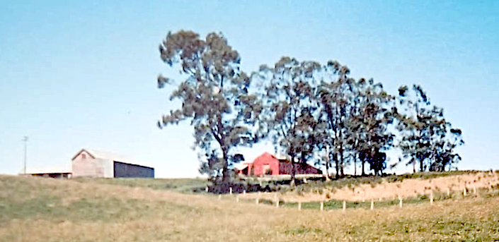 Ashley Downs Sheds, 1990s