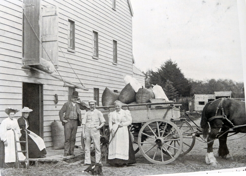 Waiwera Flour Mill, Sheddan Family