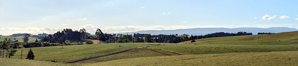 Ashley Downs view to Blue Mountains, 2024