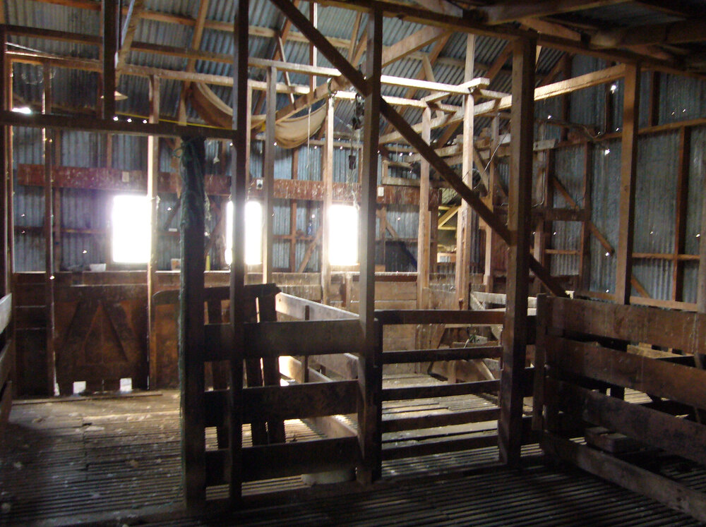 Ashley Downs Woolshed Interior, Dec 2009