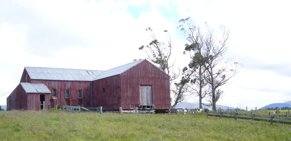Ashley Downs Woolshed, Dec 2009