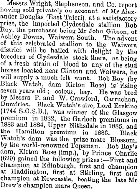 John Gibson Purchase Clydesdale Stallion