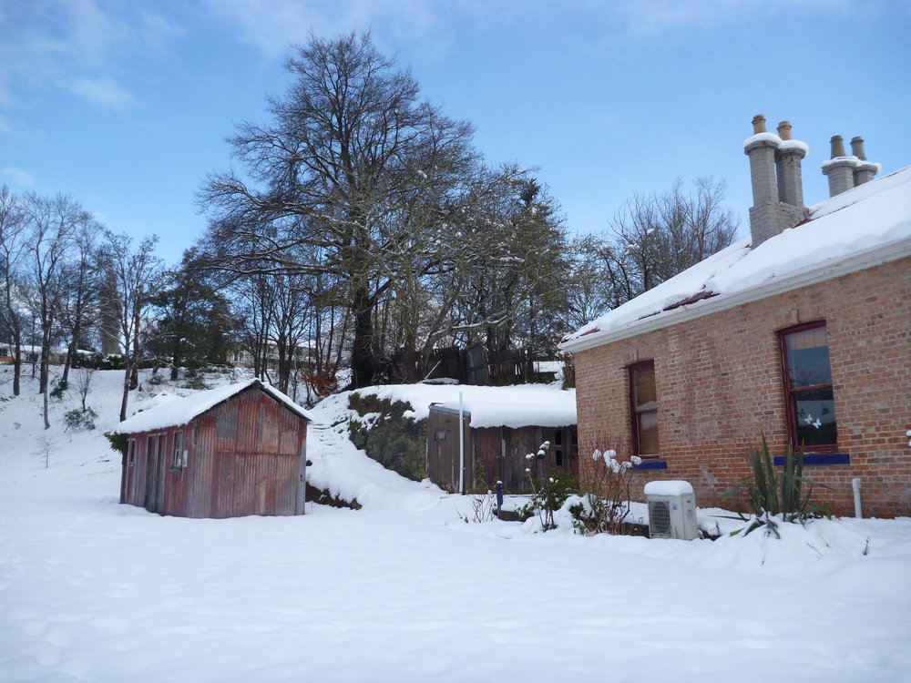 1pm 21 June 2013 023