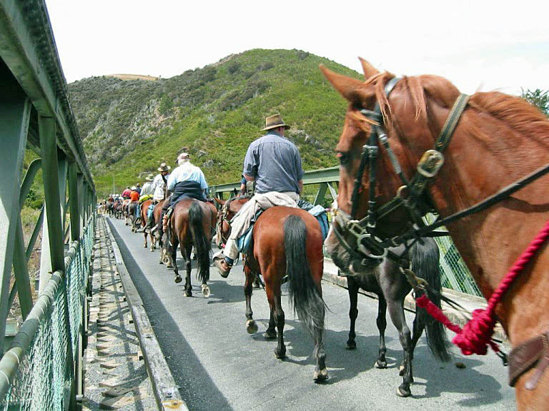 Cavalcade Trail going over the Beaumont Bridge 