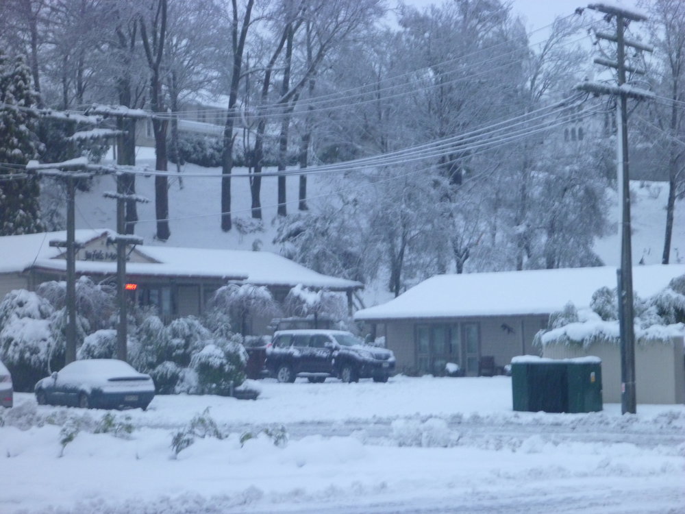 Lawrence Snow 21 June 2013 004