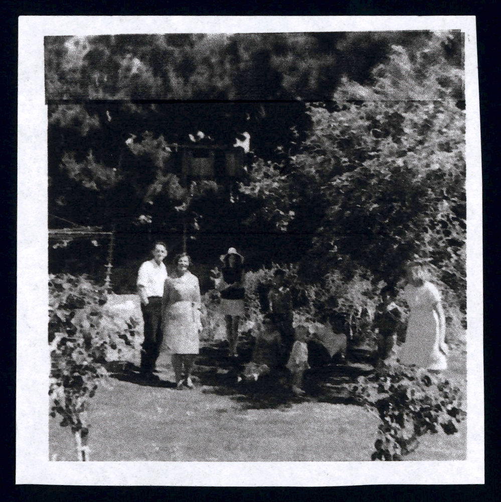 Cousins Family Photo Collection 