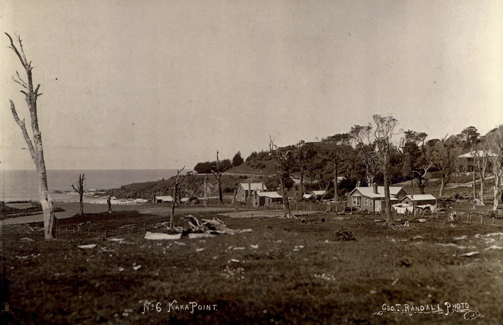Early Kaka Point looking towards Nuggets | Clutha Heritage
