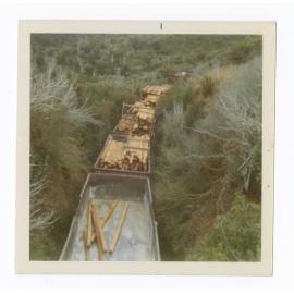 Timber Last Schedule Train