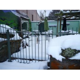 1pm 21 June 2013 022