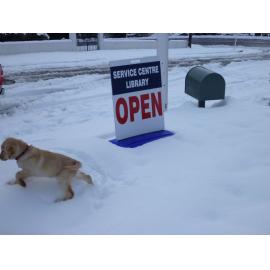 Lawrence Snow June 2013 Mailbox outside library indicating depth