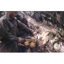 Unidentified Milton Man Saws Through Tree