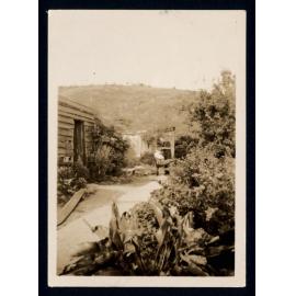 Cousins Family Photo Collection