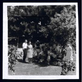 Cousins Family Photo Collection 