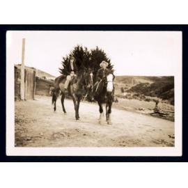 Cousins Family Photo Collection