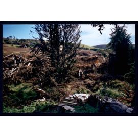 Papatowai Fire Brigade Ratanui Fire