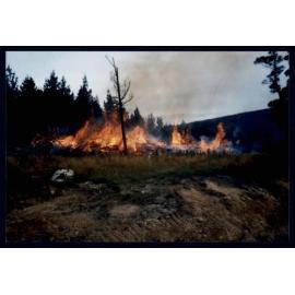 Ratanui Catlins River Brigade Fire