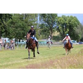 The Grey was the Favourite