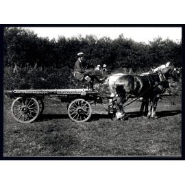 Photograph, Jas Thomson Carrier 