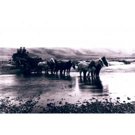 Carting Pipes for Johnson's Claim at Waipori 