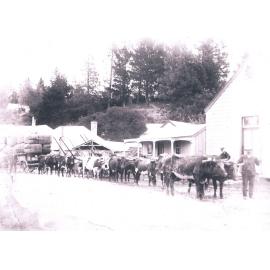Bullock Wagon outside Waipori Town Hall 