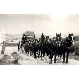 Jimmy Stephenson's Team at Waipori 