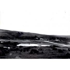 From West Waipori with Pond on Site of Cotton's Deep Lead Claim