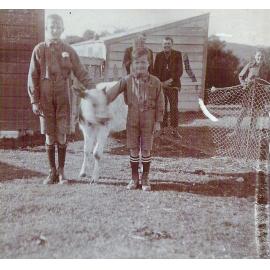 Tippet Family with Calf at Waipori 