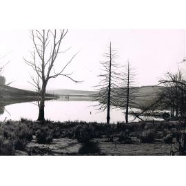 A Calm Morning, Lake Mahinerangi
