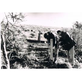 Fencing at the Pick & Shovel Hut, Lake Mahinerangi