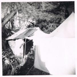 The Beginning of Pick & Shovel Hut