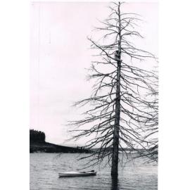 John Installs Aerial at Pick & Shovel Hut, Lake Mahinerangi