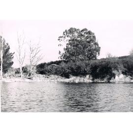 Pre-clearing at Pick & Shovel Hut, Lake Mahinerangi