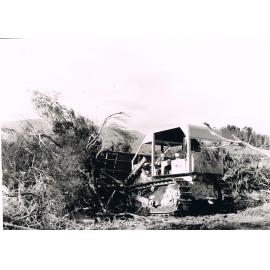 Rick Kitto Clearing near Lake Mahinerangi