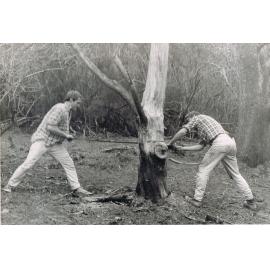 Tree Fellers at Lake Mahinerangi