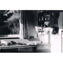 Pick 'n' Shovel Hut Kitchen, Lake Mahinerangi