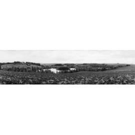 Taylor Family Homestead and Lake, Ashley Downs