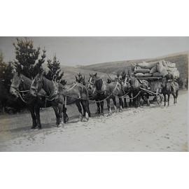 Jack Taylor transporting Grain