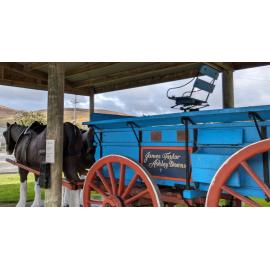 James Taylor Wagon, Clinton 2024