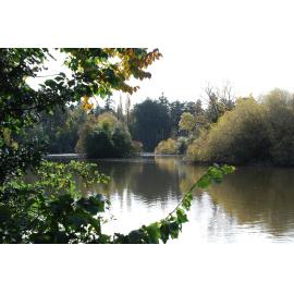 Islands in the Lake, Ashley Downs