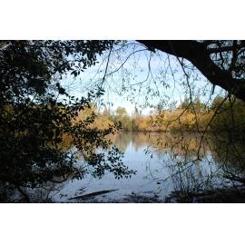 Another view over the Lake 