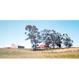 Ashley Downs Sheds, 1990s